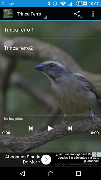 Emulate Android APK ferro trinca Emulate Android APK ferro trinca