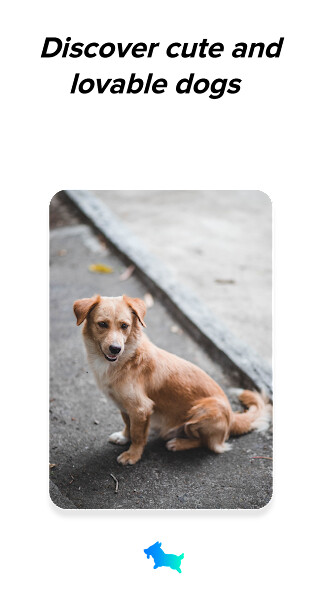 Run android online APK Fetch - Discover Cute Dogs from MyAndroid or emulate Fetch - Discover Cute Dogs using MyAndroid Run android online APK Fetch - Discover Cute Dogs from MyAndroid or emulate Fetch - Discover Cute Dogs using MyAndroid