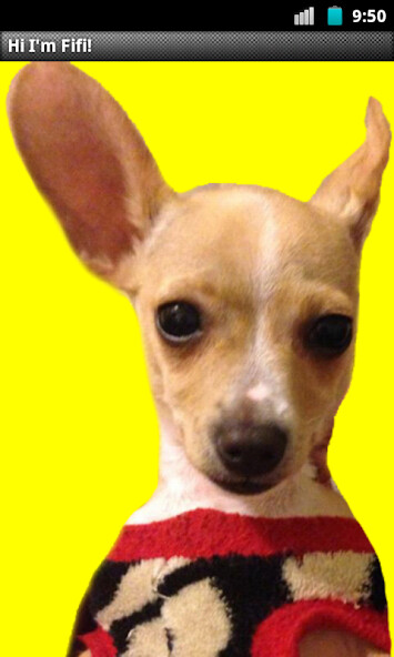 Emulate Android APK Fifi - The Friendly Chihuahua!