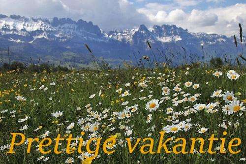 Run android online APK Fijne vakantie from MyAndroid or emulate Fijne vakantie using MyAndroid Run android online APK Fijne vakantie from MyAndroid or emulate Fijne vakantie using MyAndroid