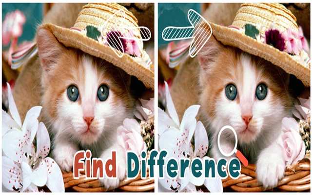 Emulate Android APK Find 5 Difference : Cats Emulate Android APK Find 5 Difference : Cats