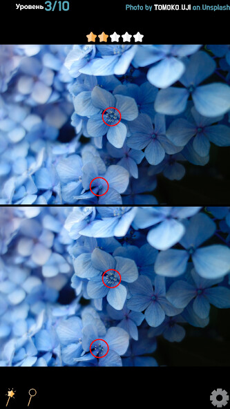 Run android online APK Find 5 Differences - Flowers from MyAndroid or emulate Find 5 Differences - Flowers using MyAndroid Run android online APK Find 5 Differences - Flowers from MyAndroid or emulate Find 5 Differences - Flowers using MyAndroid