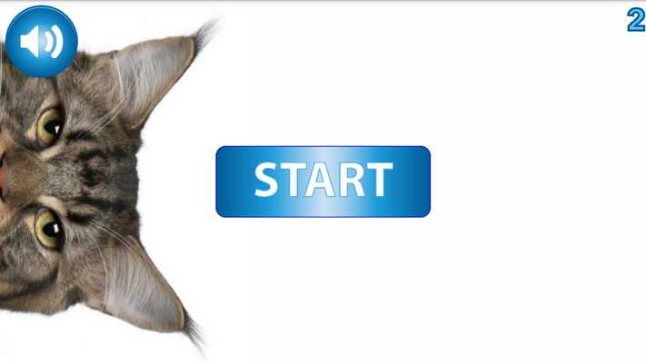 Emulate Android APK Find animals - look for cats Emulate Android APK Find animals - look for cats