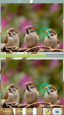 Emulate Android APK Find Difference Bird Games