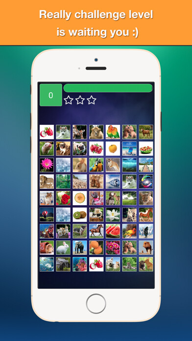 Emulate iPhone app Find Double - Matching pair game with cute photos using MyAndroid Emulate iPhone app Find Double - Matching pair game with cute photos using MyAndroid