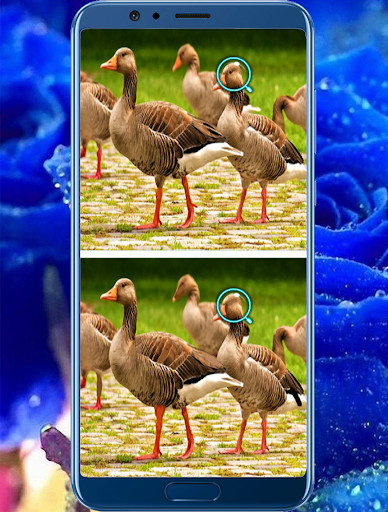 Run android online APK Finding the Differences : Puzzle Finding Challenge from MyAndroid or emulate Finding the Differences : Puzzle Finding Challenge using MyAndroid