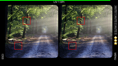 Emulate iPhone app Find The Differences Landscape using MyAndroid