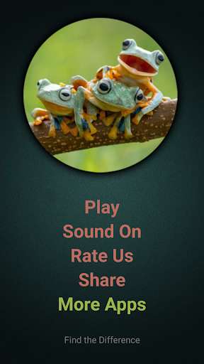 Emulate Android APK Find the Frog