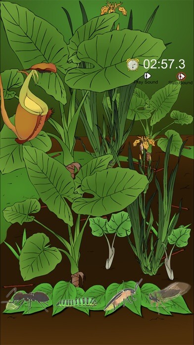 Emulate iPhone app Find The Hidden Insects using MyAndroid