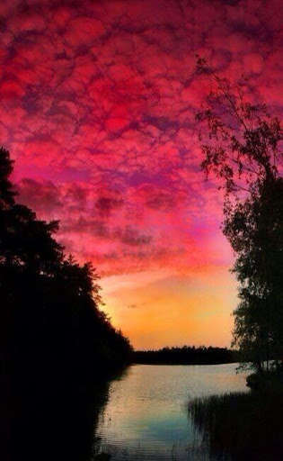 Run android online APK Finland Wallpaper HD from MyAndroid or emulate Finland Wallpaper HD using MyAndroid Run android online APK Finland Wallpaper HD from MyAndroid or emulate Finland Wallpaper HD using MyAndroid