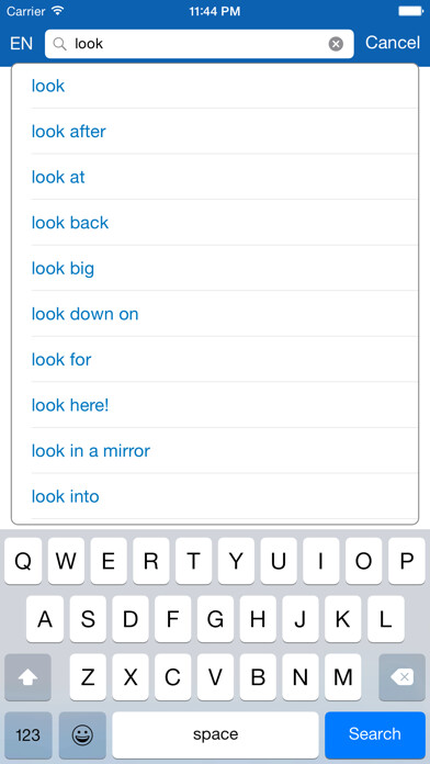 Emulate iPhone app Finnish <> English Dictionary + Vocabulary trainer using MyAndroid