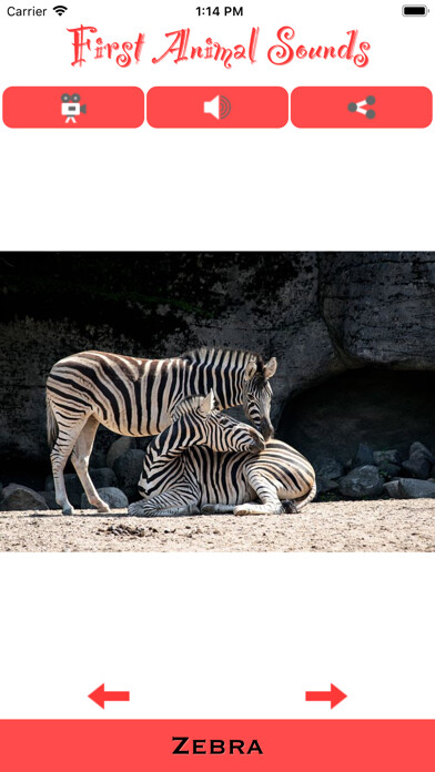 Emulate iPhone app First Animal Sounds App using MyAndroid Emulate iPhone app First Animal Sounds App using MyAndroid