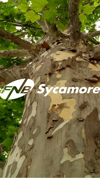 Run android online APK First National Bank Sycamore from MyAndroid or emulate First National Bank Sycamore using MyAndroid Run android online APK First National Bank Sycamore from MyAndroid or emulate First National Bank Sycamore using MyAndroid