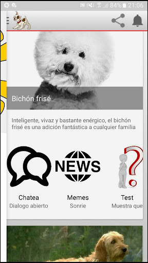 Run android online APK Firulais from MyAndroid or emulate Firulais using MyAndroid