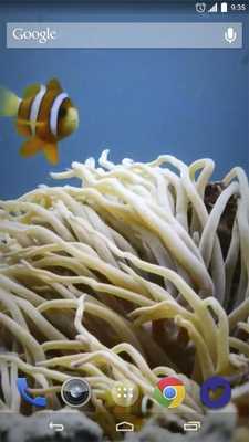 Emulate Android APK Fish and Algae Underwater LWP Emulate Android APK Fish and Algae Underwater LWP
