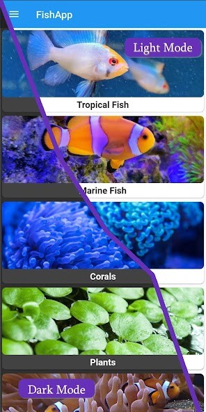 Emulate Android APK FishApp Emulate Android APK FishApp