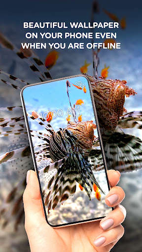 Run android online APK Fishes offline wallpapers from MyAndroid or emulate Fishes offline wallpapers using MyAndroid