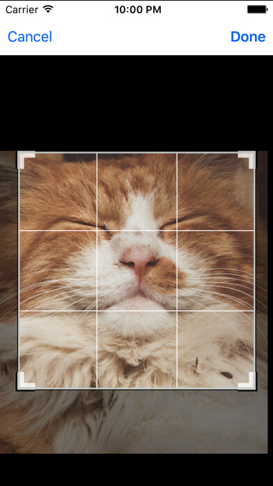 Emulate iPhone app Fisheye Magick using MyAndroid Emulate iPhone app Fisheye Magick using MyAndroid