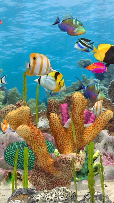 Emulate iPhone app Fish Farm Merge using MyAndroid Emulate iPhone app Fish Farm Merge using MyAndroid