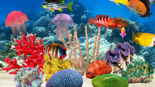 Emulate iPhone app Fish Farm Unlimited using MyAndroid