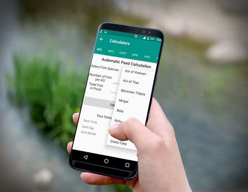 Run android online APK Fish Feed Calculators from MyAndroid or emulate Fish Feed Calculators using MyAndroid