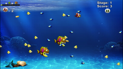Emulate iPhone app Fish Feeding 2022 using MyAndroid Emulate iPhone app Fish Feeding 2022 using MyAndroid