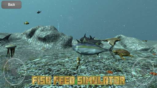 Run android online APK Fish Feed Simulator from MyAndroid or emulate Fish Feed Simulator using MyAndroid Run android online APK Fish Feed Simulator from MyAndroid or emulate Fish Feed Simulator using MyAndroid