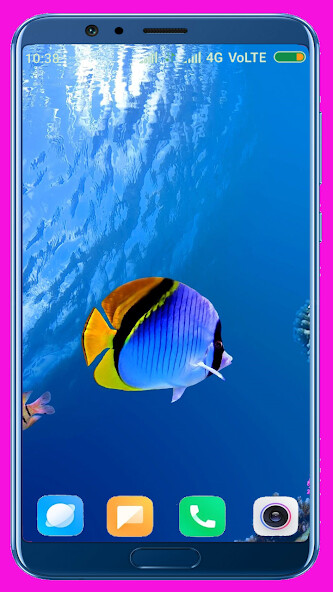 Run android online APK Fish HD Wallpaper from MyAndroid or emulate Fish HD Wallpaper using MyAndroid Run android online APK Fish HD Wallpaper from MyAndroid or emulate Fish HD Wallpaper using MyAndroid