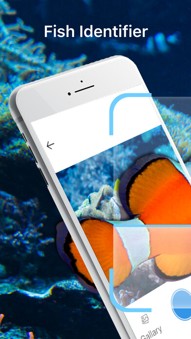 Emulate iPhone app Fish Identification - Fish ID using MyAndroid Emulate iPhone app Fish Identification - Fish ID using MyAndroid