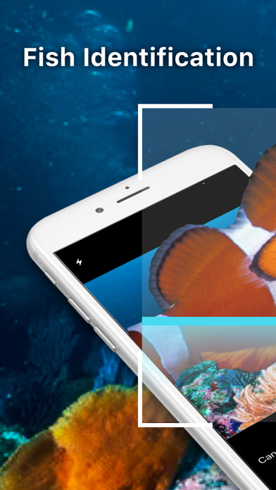 Emulate iPhone app Fish Identifier - Fish ID using MyAndroid