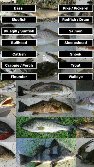 Emulate iPhone app Fishing Scale using MyAndroid