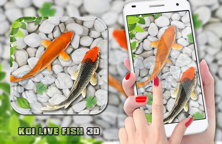 Run android online APK Fish Live Wallpaper Aquarium from MyAndroid or emulate Fish Live Wallpaper Aquarium using MyAndroid Run android online APK Fish Live Wallpaper Aquarium from MyAndroid or emulate Fish Live Wallpaper Aquarium using MyAndroid