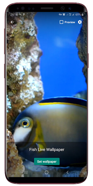 Emulate Android APK Fish Live Wallpaper Emulate Android APK Fish Live Wallpaper