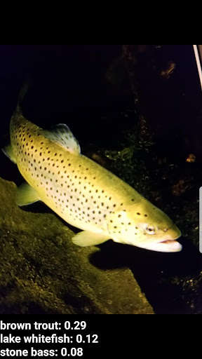 Run android online APK Fish Recognizer from MyAndroid or emulate Fish Recognizer using MyAndroid