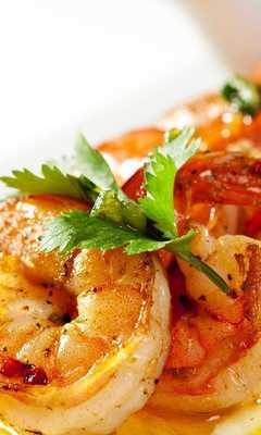 Emulate Android APK Fish Seafood Wallpapers