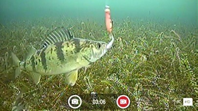 Emulate iPhone app FishSens SondeCAM using MyAndroid