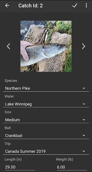 Run android online APK Fishtorian from MyAndroid or emulate Fishtorian using MyAndroid Run android online APK Fishtorian from MyAndroid or emulate Fishtorian using MyAndroid