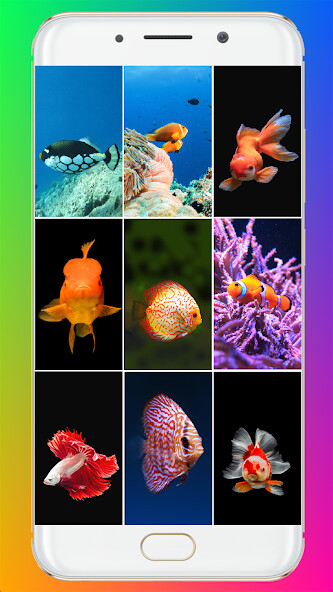 Run android online APK Fish Wallpaper 4K from MyAndroid or emulate Fish Wallpaper 4K using MyAndroid