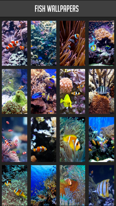 Emulate iPhone app Fish Wallpapers! using MyAndroid Emulate iPhone app Fish Wallpapers! using MyAndroid