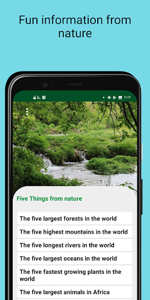 Run android online APK Fives naturel from MyAndroid or emulate Fives naturel using MyAndroid