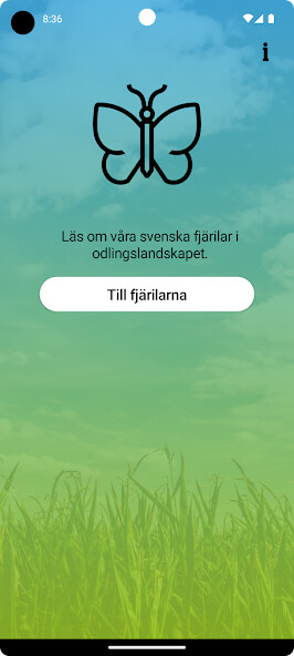 Run android online APK Fjärilar from MyAndroid or emulate Fjärilar using MyAndroid Run android online APK Fjärilar from MyAndroid or emulate Fjärilar using MyAndroid