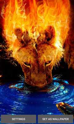 Emulate Android APK Flaming Lion Live Wallpaper Emulate Android APK Flaming Lion Live Wallpaper