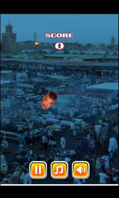 Emulate Android APK Flappy Niba