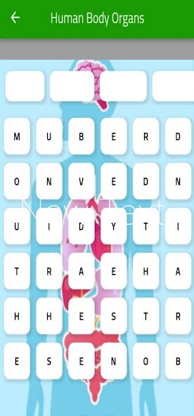 Run android online APK Flare Word Puzzle from MyAndroid or emulate Flare Word Puzzle using MyAndroid Run android online APK Flare Word Puzzle from MyAndroid or emulate Flare Word Puzzle using MyAndroid