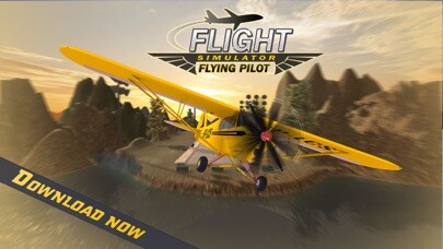Emulate iPhone app Flight Simulator: Flying Pilot using MyAndroid