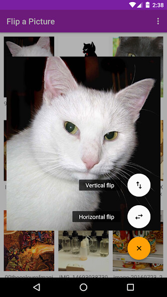 Emulate Android APK Flip a Picture (mirror image) Emulate Android APK Flip a Picture (mirror image)