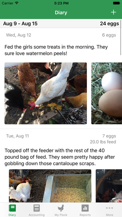 Emulate iPhone app FlockPlenty - Chicken Egg Tracker using MyAndroid Emulate iPhone app FlockPlenty - Chicken Egg Tracker using MyAndroid