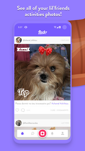 Run android online APK Flockr - Pet social network from MyAndroid or emulate Flockr - Pet social network using MyAndroid Run android online APK Flockr - Pet social network from MyAndroid or emulate Flockr - Pet social network using MyAndroid