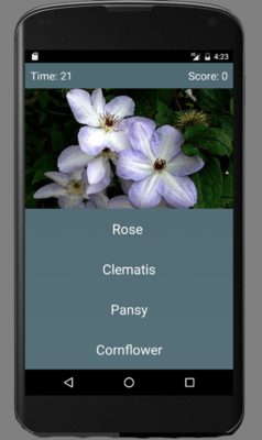Emulate Android APK Floral Quiz Emulate Android APK Floral Quiz