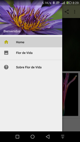 Run android online APK Flor de Vida from MyAndroid or emulate Flor de Vida using MyAndroid